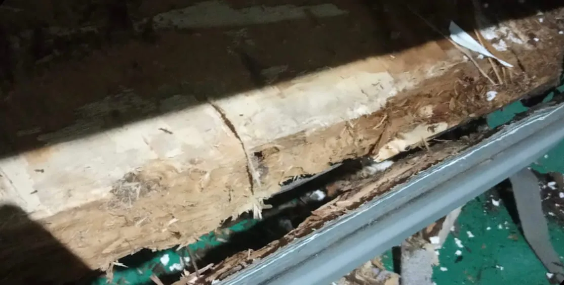 Humedad en el suelo de la autocaravana