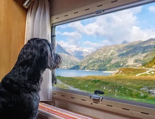 Consells per gaudir del lloguer d’una autocaravana