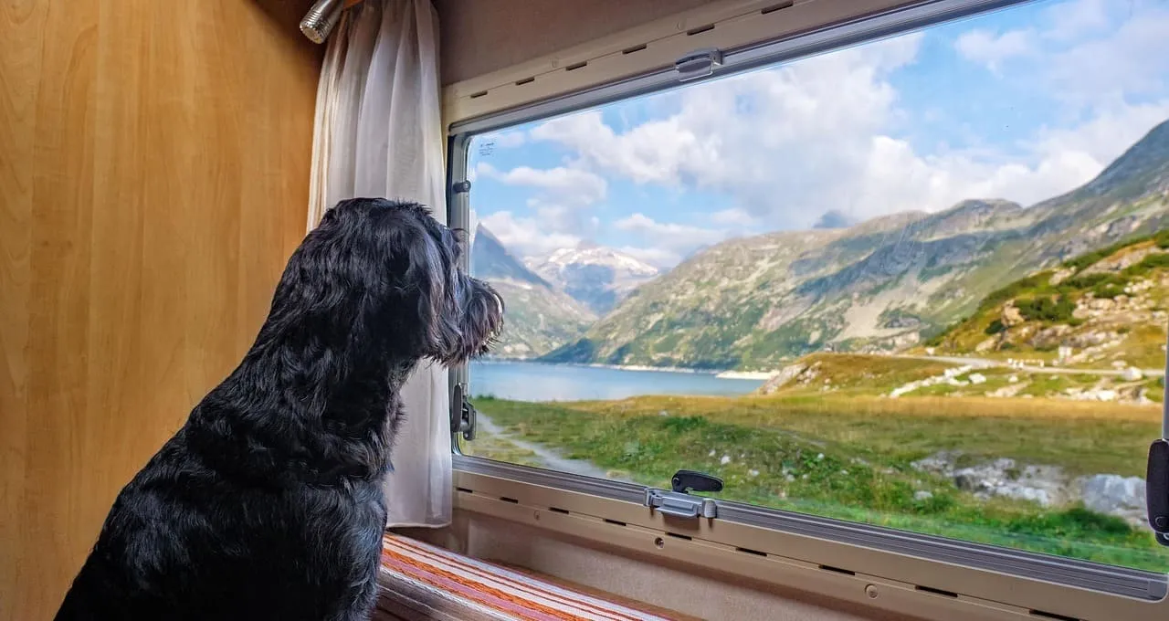 Cómo disfrutar más el alquiler de tu autocaravana